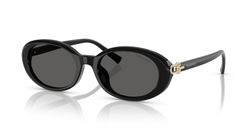 Ochelari de soare Tiffany&Co TF4242D 8361S4