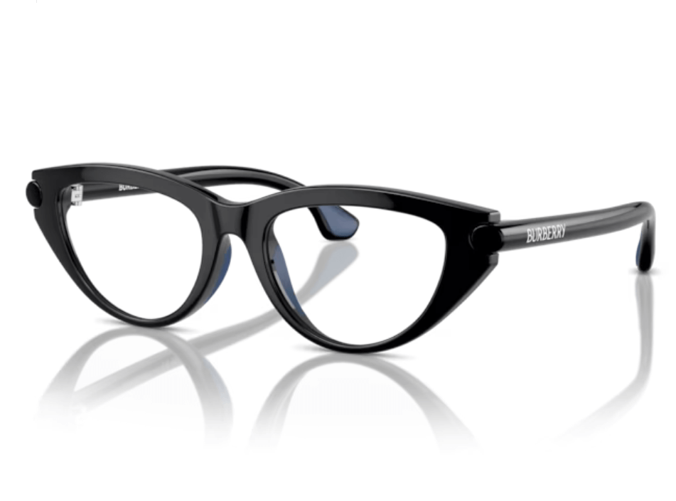 Rame ochelari Burberry JB2011U 3001