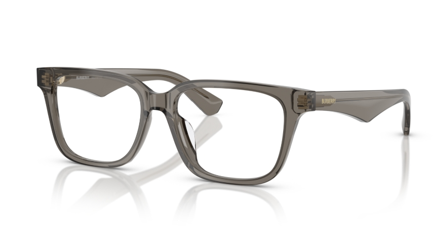 Rame de ochelari Burberry BE2425D 4242