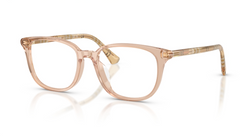 Rame ochelari Burberry BE2434D 4175