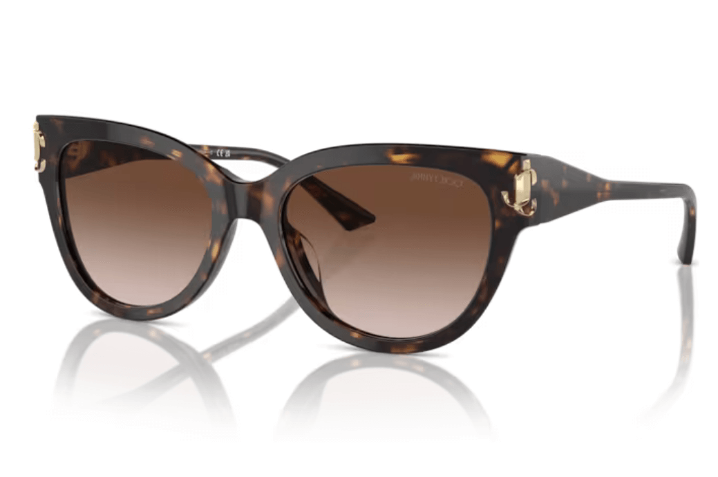 Ochelari de soare Jimmy Choo JC5018 500213