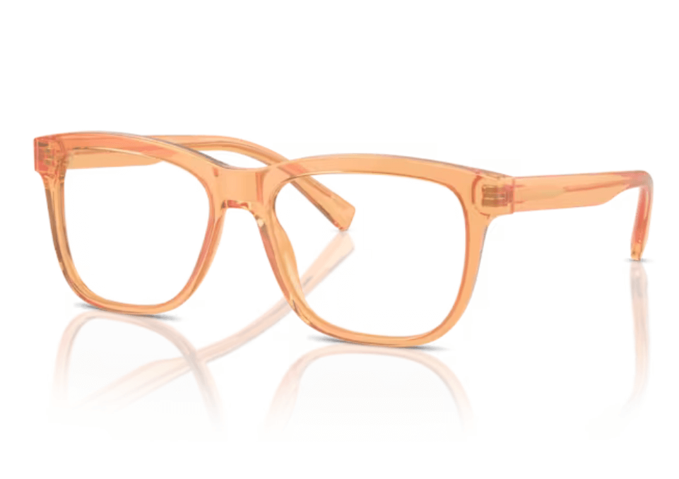 Rame de ochelari Dolce&Gabbana DX3356 3442
