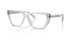 Rame de ochelari Emporio Armani EA3256U 6250