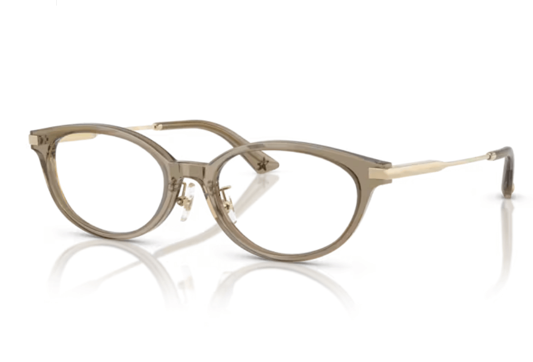 Rame de ochelari Jimmy Choo JC3029D 5051