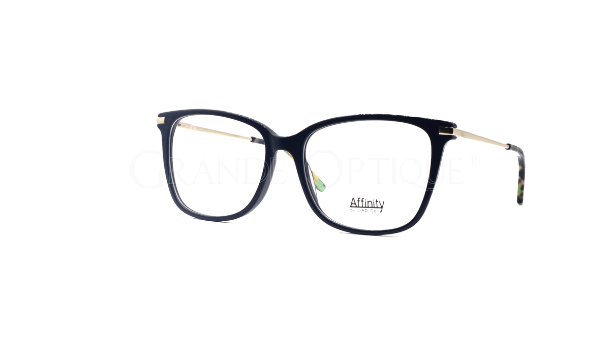 Rame de ochelari Affinity 8663 c1