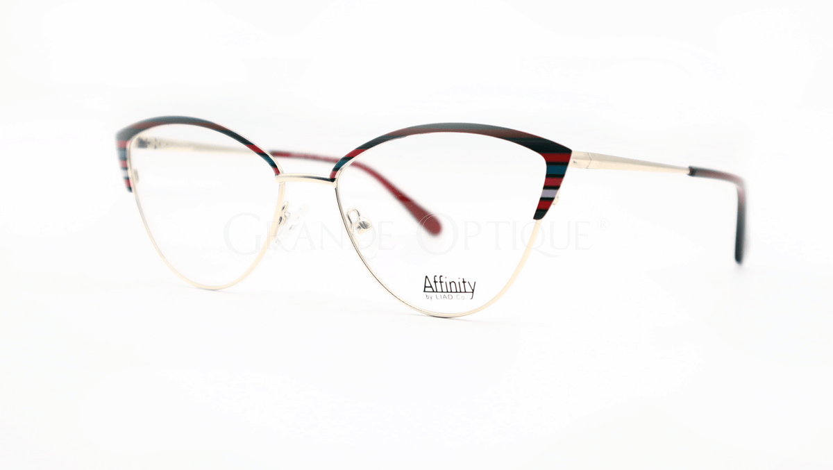 Rame de ochelari Affinity 8259 C1