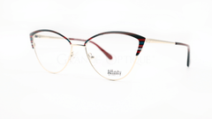 Rame de ochelari Affinity 8259 C1