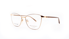 Rame de ochelari Ana Hickmann AH1416 01A