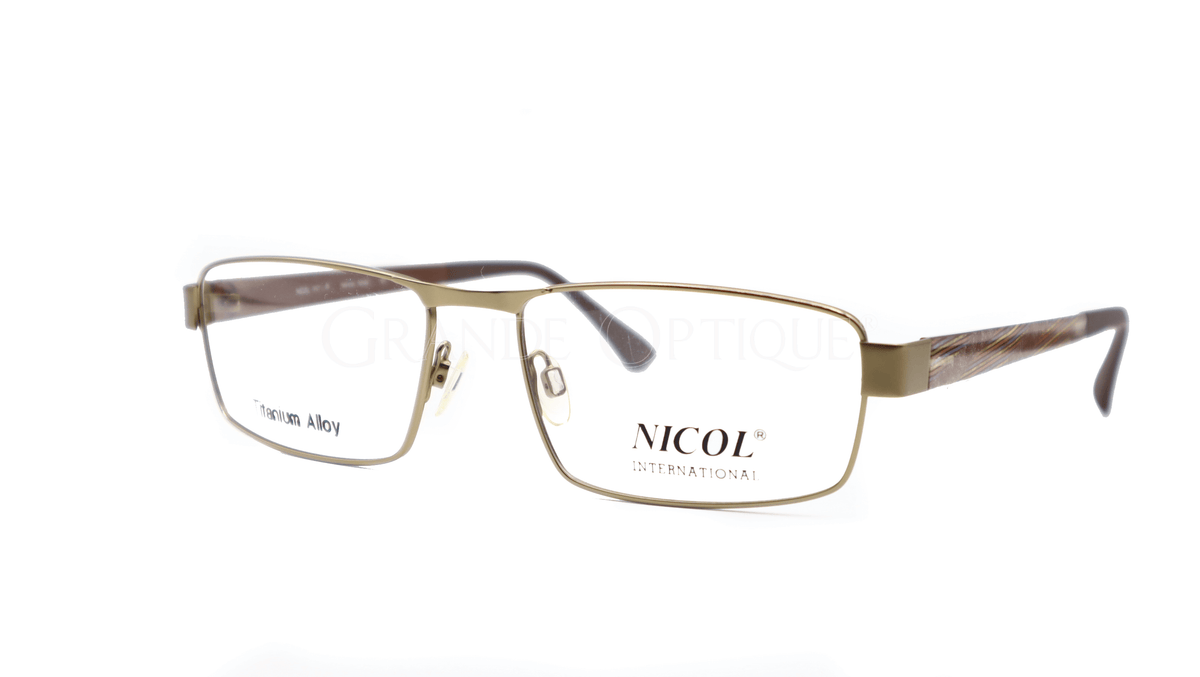 Rame de ochelari Nicol 2122 GL