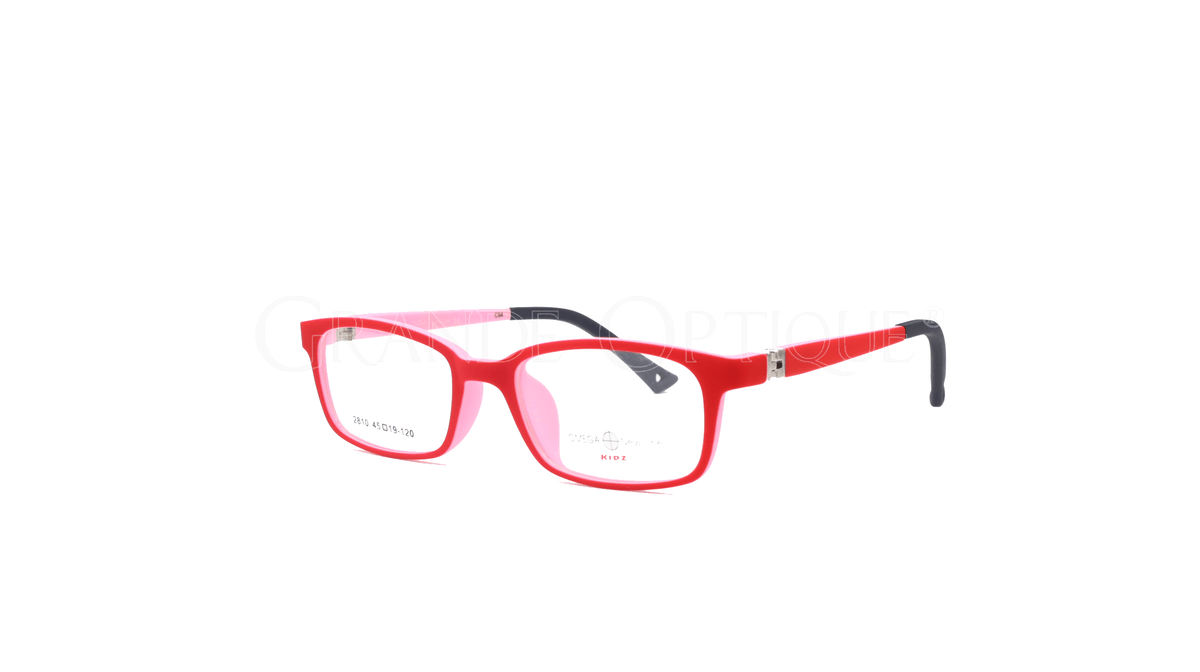 Rame ochelari Omega New Line 2810