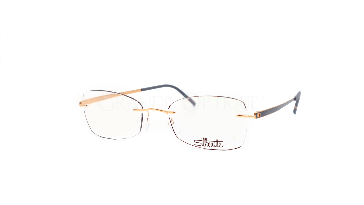 Rame de ochelari Silhouette 5529 HC 6520