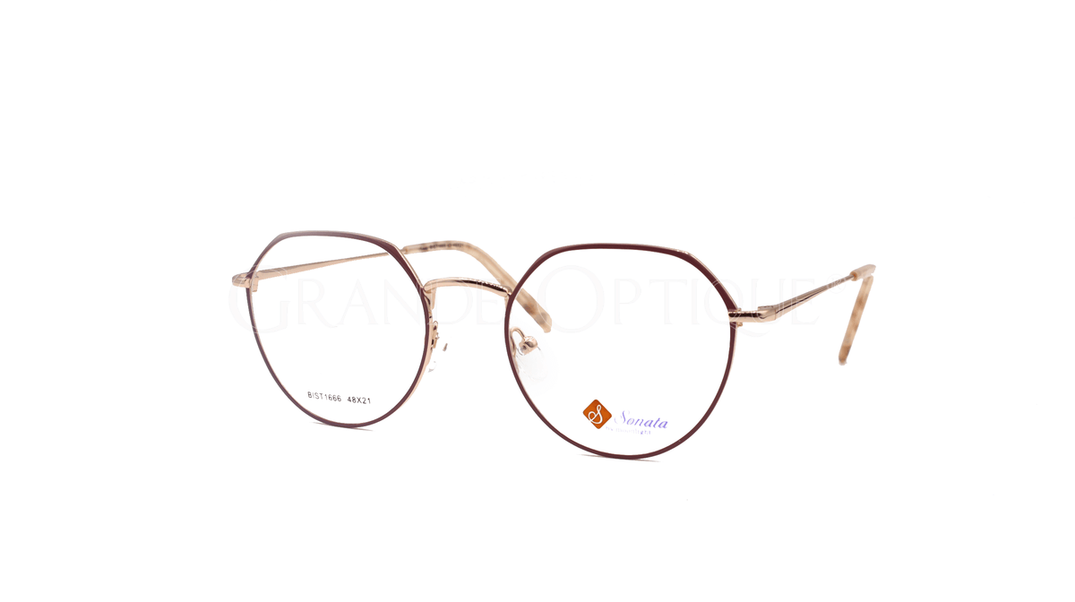 Rame de ochelari Sonata 1666 c3