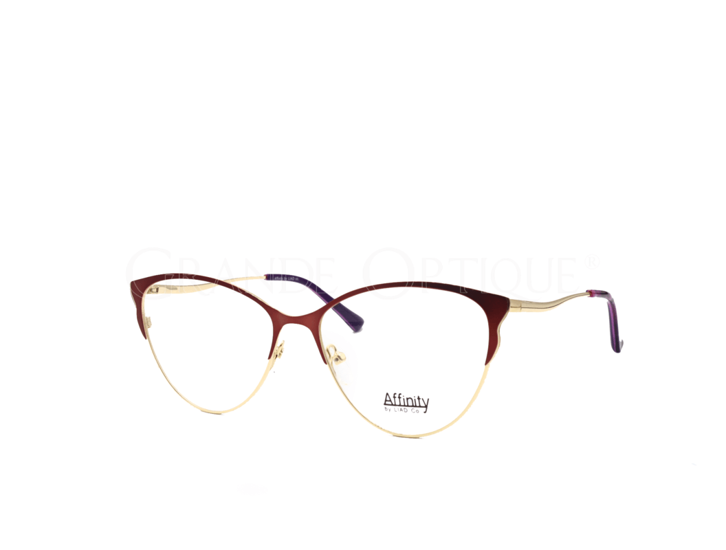 Rame de ochelari Affinity 8796 C2