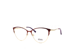 Rame de ochelari Affinity 8796 C2
