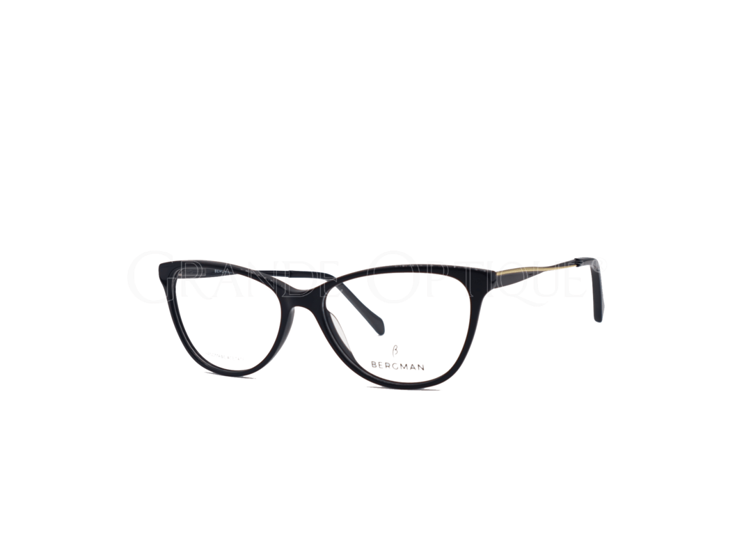 Rame de ochelari Bergman 4986 c3