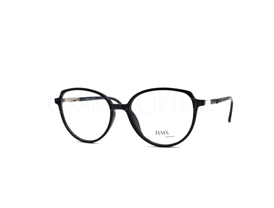 Rame de ochelari HMS 0409 c6