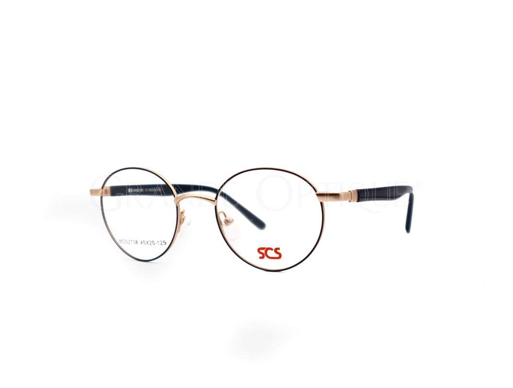 Rame de ochelari Succes 2738 c1