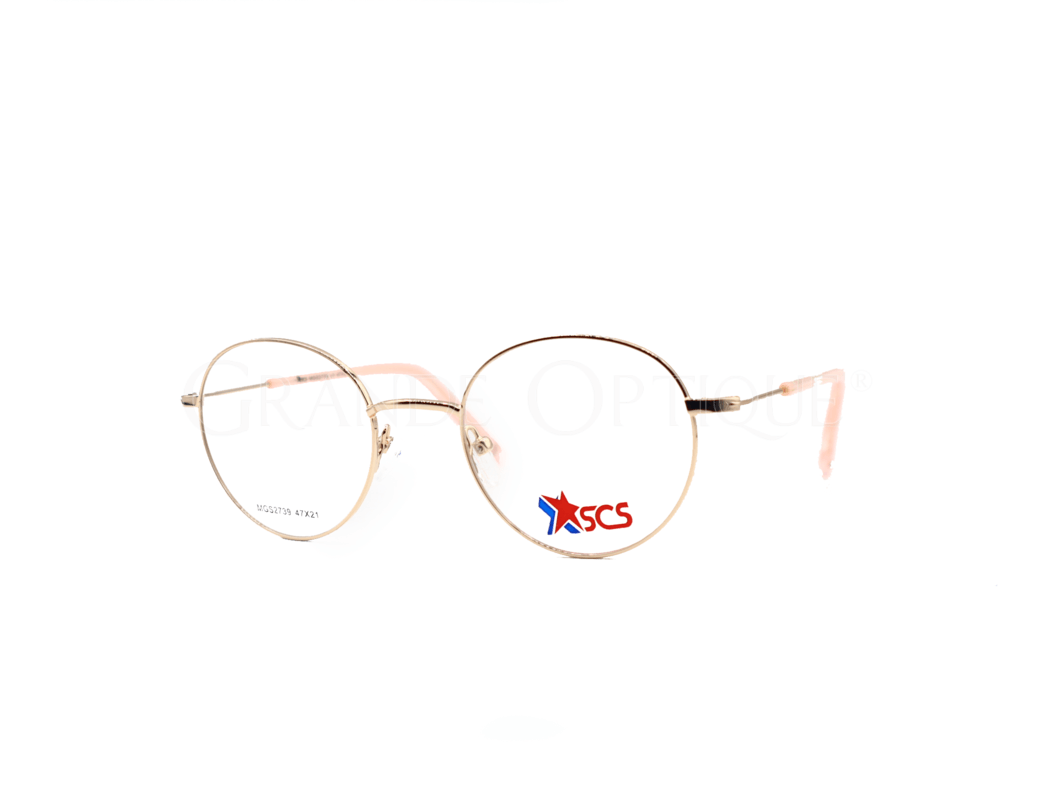 Rame de ochelari Succes 2739 c1