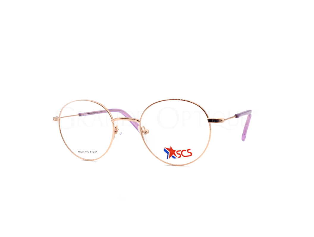 Rame de ochelari Succes 2739 c5