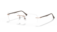 Rame de ochelari Ray-Ban RB8725 1131