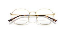 Rame de ochelari Ray-Ban RB8778D 1251