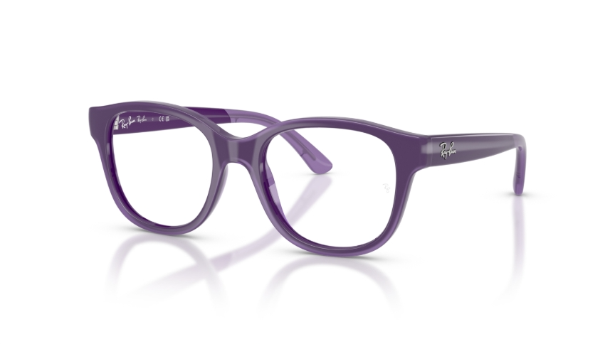 Rame de ochelari Ray-Ban RY1950 7206