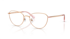 Rame de ochelari Swarovski SK1029D 4014
