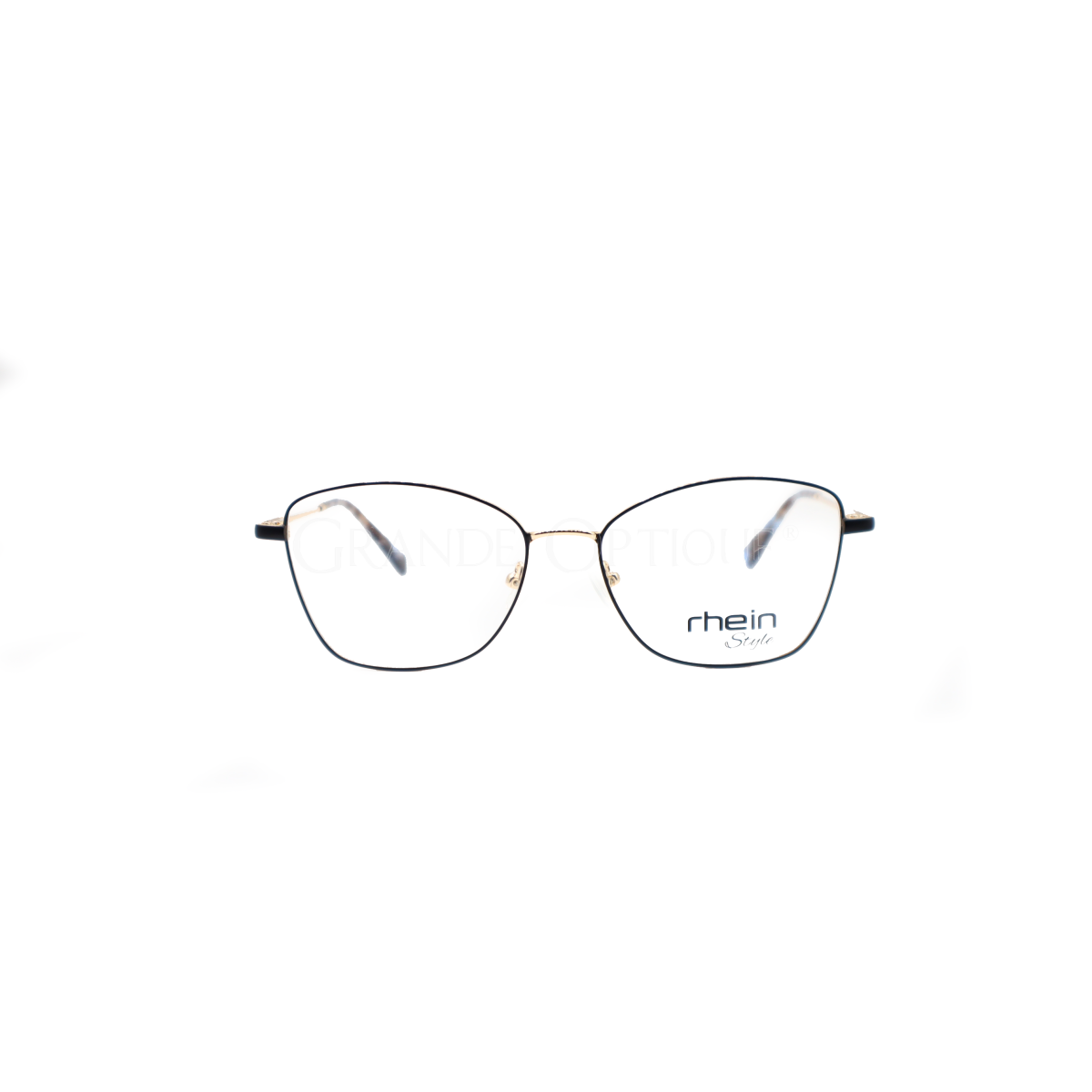 Rame ochelari Rhein 2056 C1