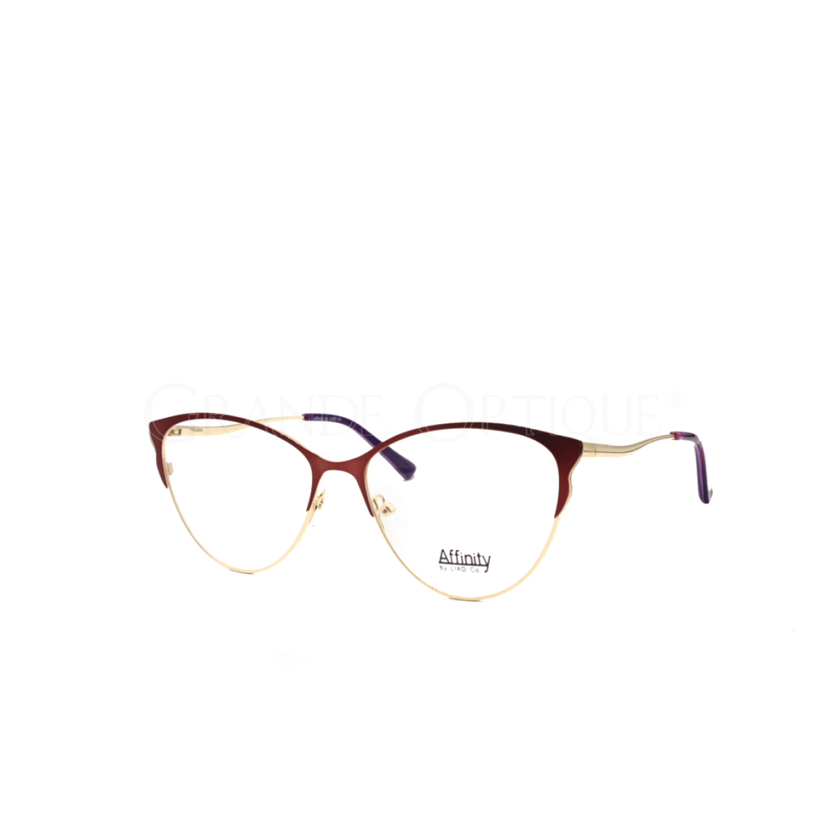Rame de ochelari Affinity 8796 c2