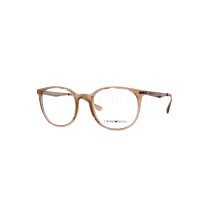 Rame de ochelari Emporio Armani EA3168 5850 52