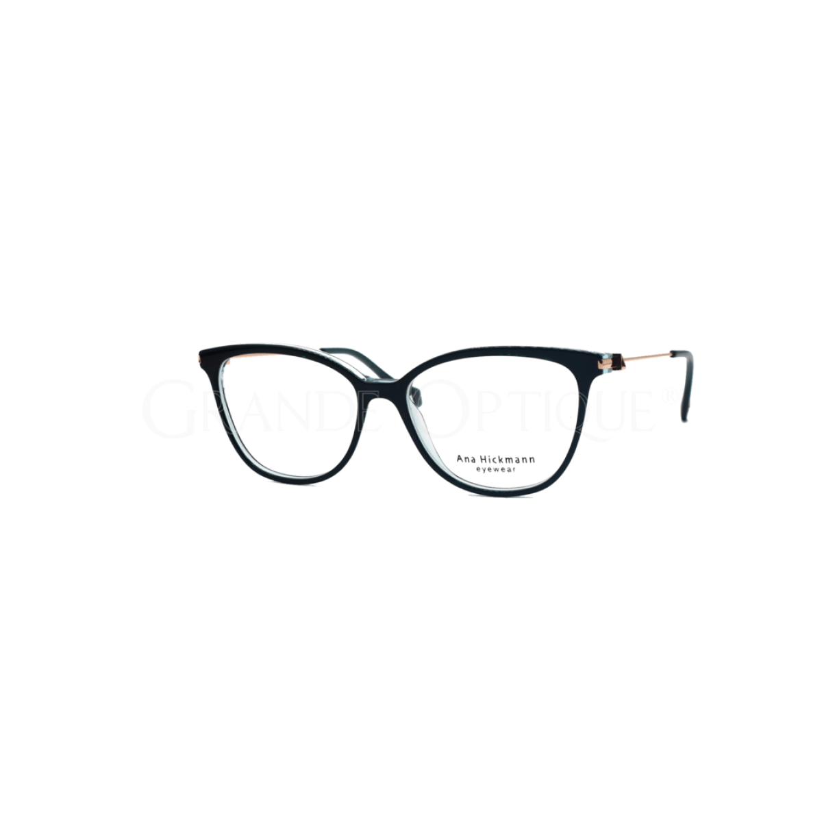 Rame de ochelari Ana Hickmann AH6518 H01